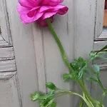 D'hotes Le Gentil Bed & Breakfast Arras-en-Lavedan