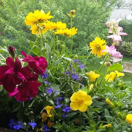 Bed & Breakfast D'hotes Le Gentil Arras-en-Lavedan